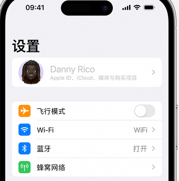 治多appleID维修服务iPhone设置中Apple ID显示为灰色无法使用 