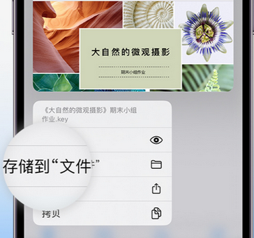 治多apple维修中心分享iPhone文件应用中存储和找到下载文件