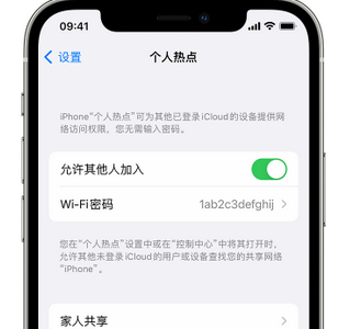 治多apple服务站点分享iPhone上个人热点丢失了怎么办 