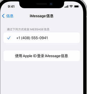 治多apple维修iPhone上无法正常发送iMessage信息