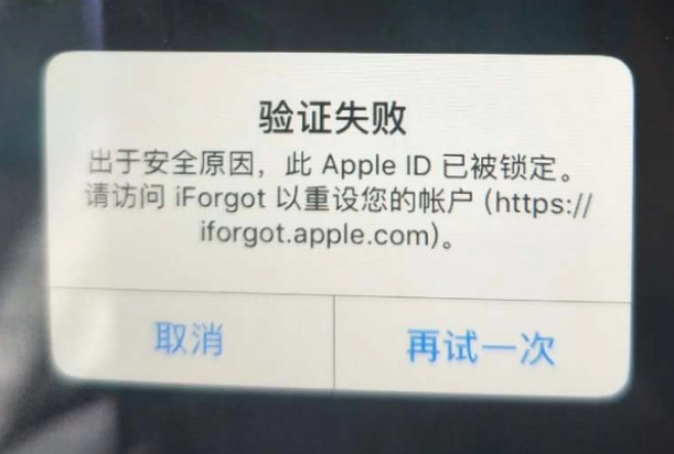 治多iPhone维修分享iPhone上正常登录或使用AppleID怎么办 