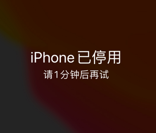 治多苹果手机维修分享:iPhone 显示“不可用”或“已停用”怎么办？还能保留数据吗？ 