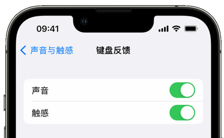 治多苹果手机维修分享iPhone 14触感键盘使用方法 