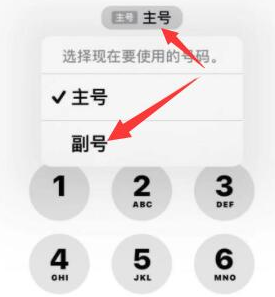 治多苹果14维修店分享iPhone 14 Pro Max使用副卡打电话的方法 