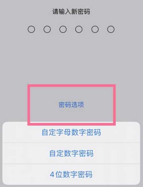 治多苹果14维修分享iPhone 14plus设置密码的方法 