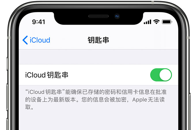 治多苹果手机维修分享在 iPhone 上开启 iCloud 钥匙串之后会储存哪些信息 