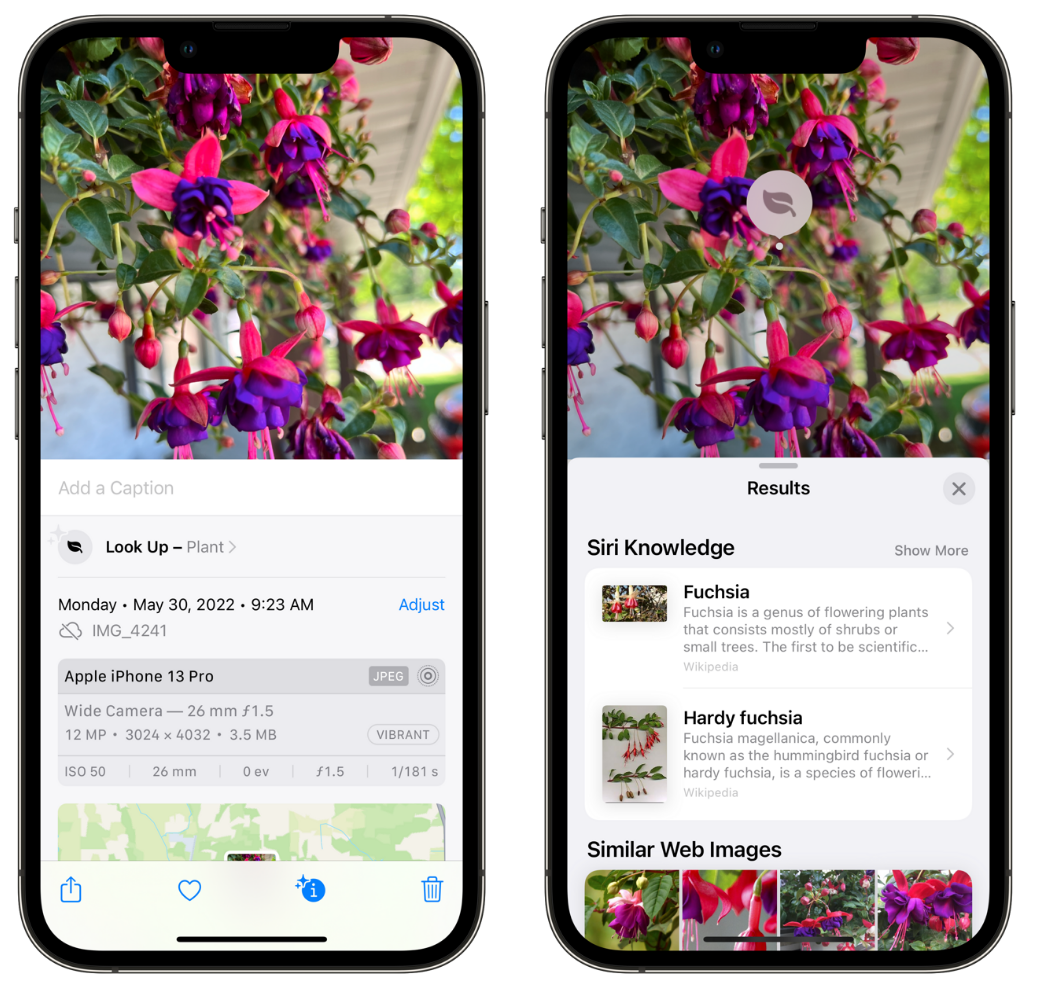 治多苹果手机维修分享小技巧：使用 iPhone 相机识别花卉植物 